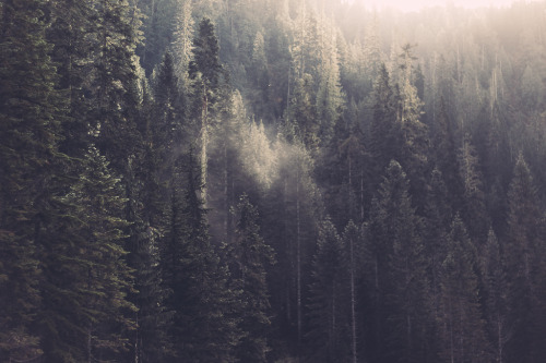 XXX lifeinmotion84:  Nature  photo