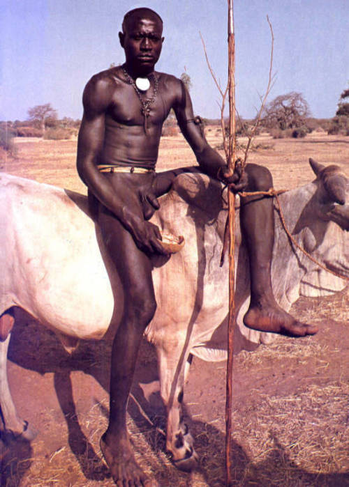 Nuba, via Active Naturists.