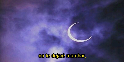 somospandaspordentroyporfuera:  -Una chica invisible. 