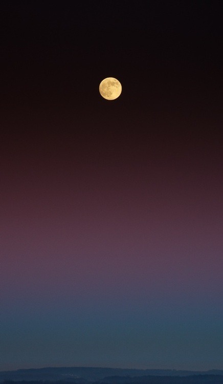 mesmerize