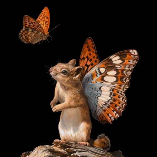 nevver:Air Rodent, Lisa Ericson