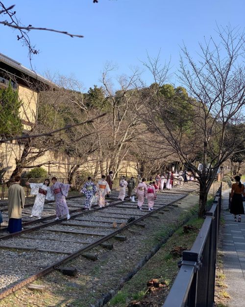 春ですね〜 朝散歩をおすすめしている#京都トラベラーズインより徒歩圏内 の蹴上のインクラインが、お着物姿の方々で、混んでました。皆さま楽しそうで、春日和を満喫されていました。 誰もいない朝1番のインク
