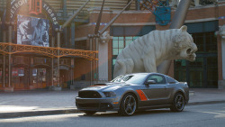 ford-mustang-generation:  2014 ROUSH Stage