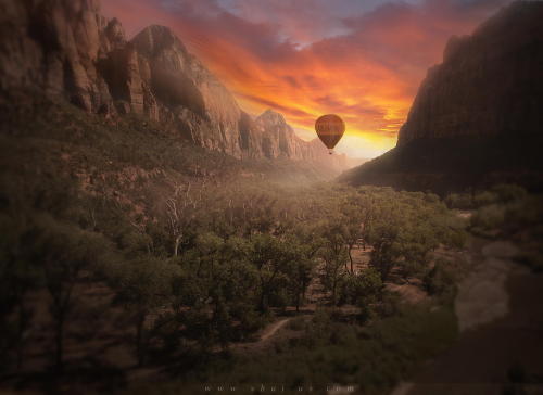 lori-rocks:  Zion by  Siyu Liu 