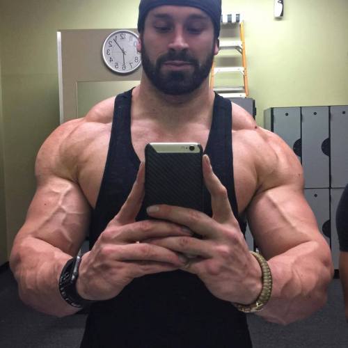 Adonis Files