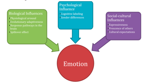 Theories of EmotionEmotionPhysiological arousal (heart pounding)Expressive behaviors (quickened pace