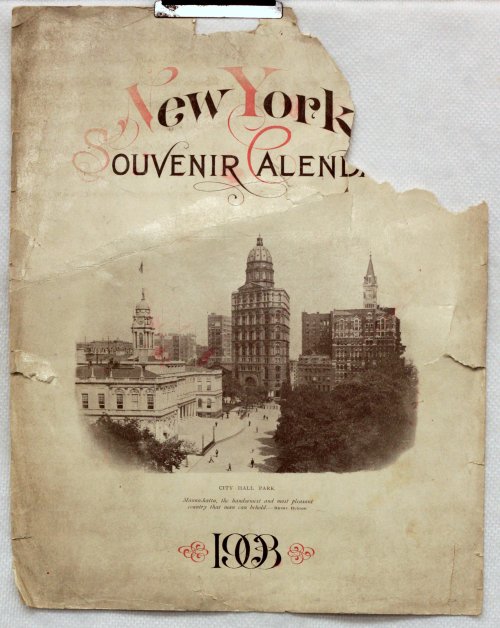 New York Souvenir Calendar 1903