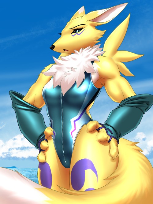 mykecandraw:  Swimsuit Renamon