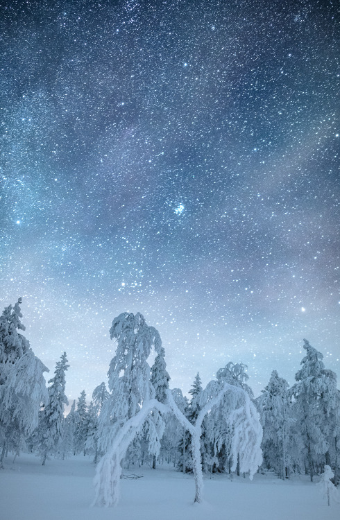 tiinatormanenphotography: Wintry night.  Posio, Southern Lapland, Finland.  Dec 2016.  by Tiina Törm