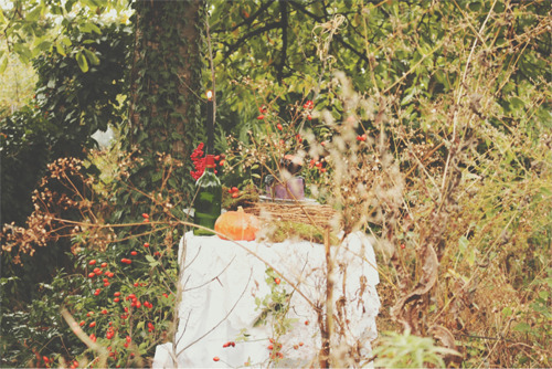 ooooh-tralala:We had a Halloween garden party, I made cake, cupcakes, bat cookies (how to make icing