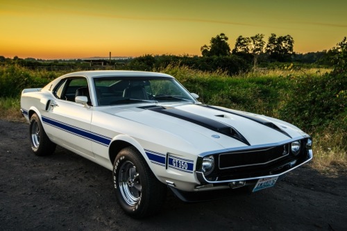 musclecarsfans:  Follow For Muscle Cars Everyday
