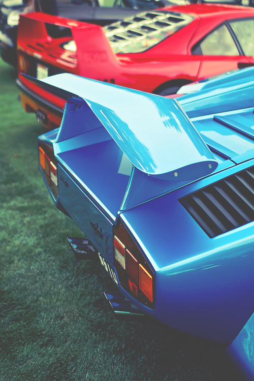 thelavishlife:  Source The Lavish Life 