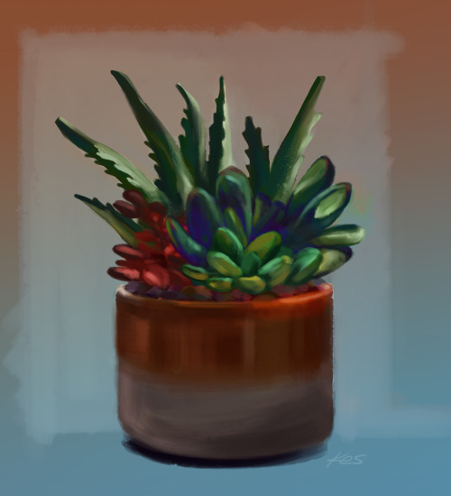 Bought some succulent plant and did a little study of it last night.