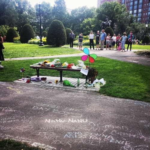 laurakudcey: It’s not your fault. (at Good Will Hunting Bench (Boston Public Garden))