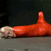 latexbandanna: