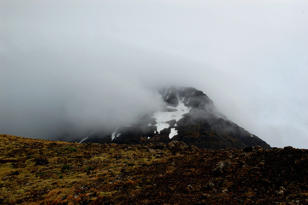 jacindaelena:     Matt Andrews || Iceland 