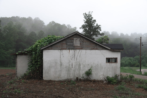 8/31/2018 - vine homesame weird house, two weird views!