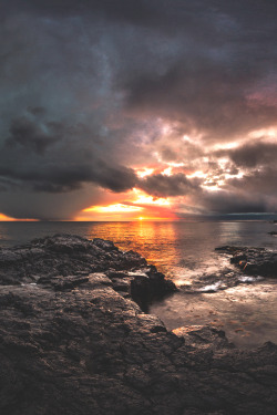 heaven-ly-mind:  The End of Days