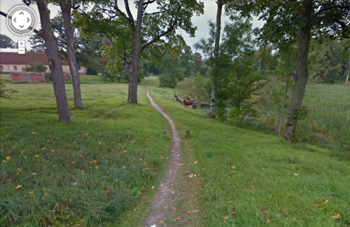 paleception:  dampmoss:  ()  online garden here