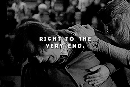 Remember That, And Cedric Diggory Will Not Have Died In Vain.