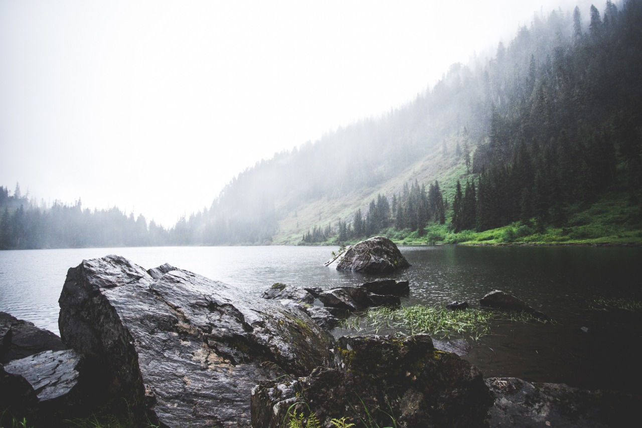 jtrendd:  misty days in washington