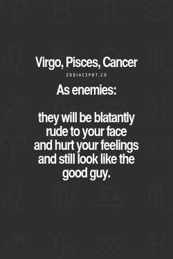 zodiacspot:  The signs as enemies