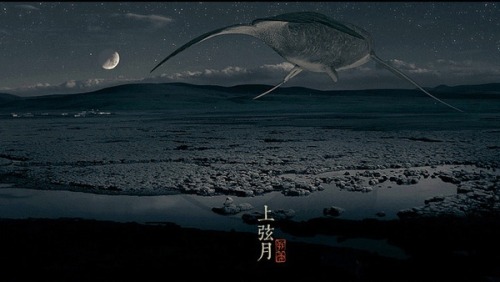 Chinese lunar chiaroscuro by 呼吸不能说 (Breath)