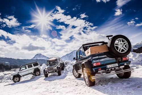 mercedesbenz:  Such a nice family picture, isn´t it?