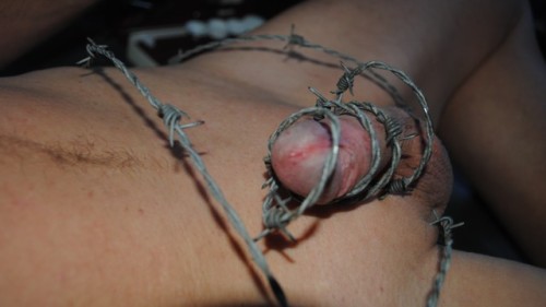 With every millimeter subtraction, the barbed wire bites into my dickies thin skin. What a great sensation!