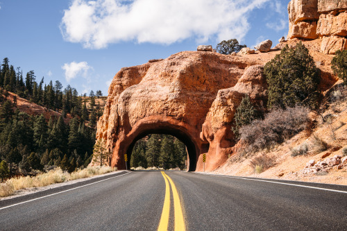 christophermfowler:Red Canyon Arch | Bryce, UT | October 2019