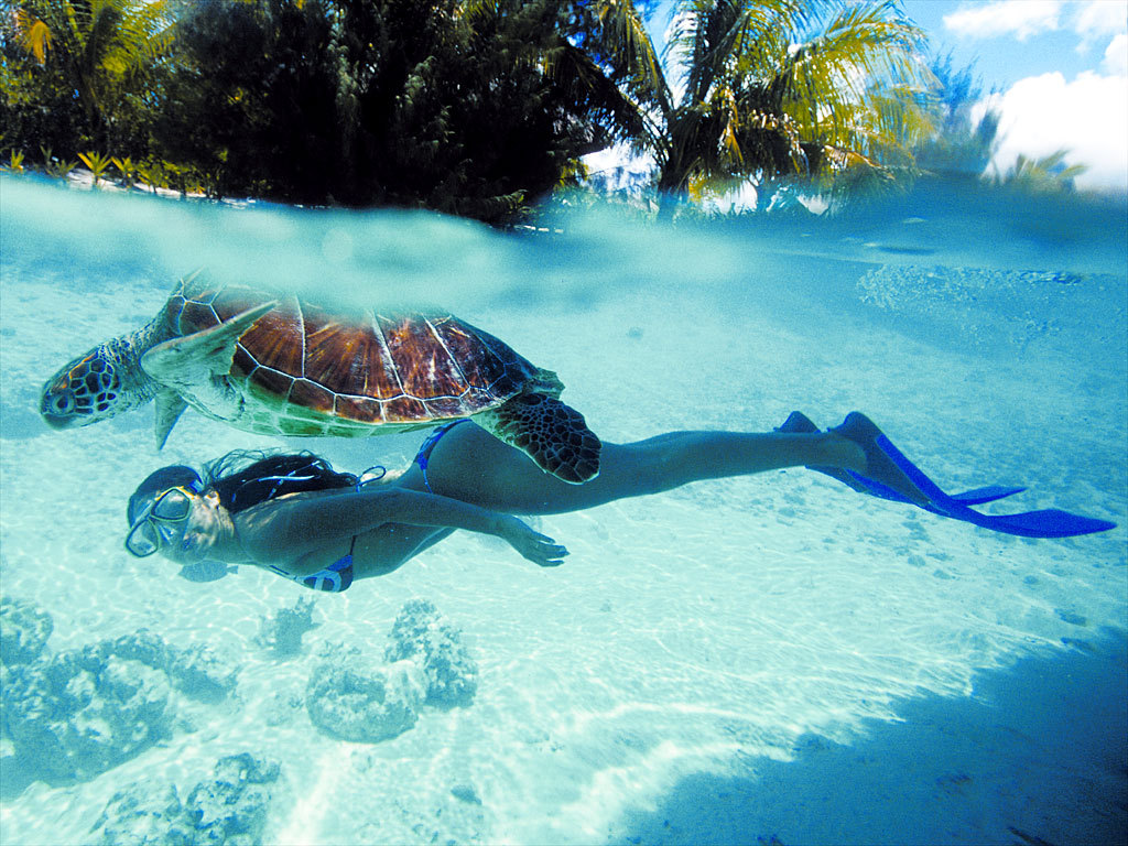 Aqua lung snorkel set