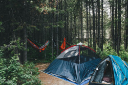 imbradenolsen:  Camping in the Grand Tetons