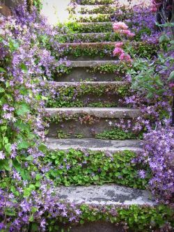 forever-lost-in-a-wonderland:stairs to beautiful