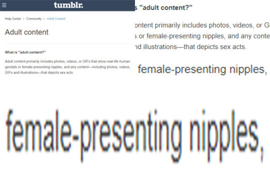 Tumblr media