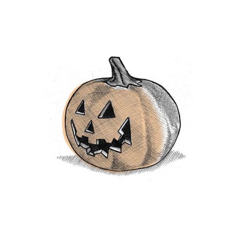 Happy Halloween! ~ #illustration #art #artwork #biro #biroart #pumpkin #drawing #autumn #vegetable #