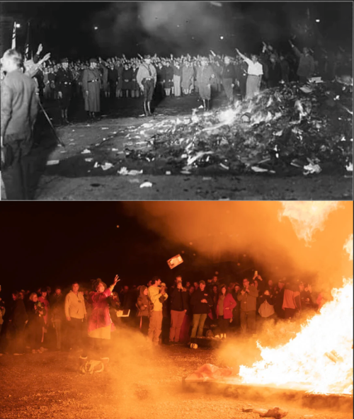 blue–folder:Book burning in 1933 and again in 2022 Example #386 of why it&rsquo;s okay to 
