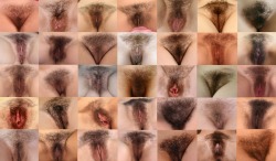 Pelo d’Autore n° 2352 PELO PELO PELO PELO PELO PELO PELO&hellip; jleitao71:  http://bighairylover.tumblr.com/ the best hairy pussy 