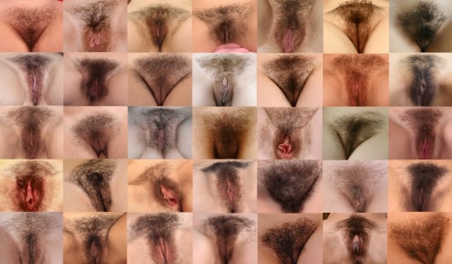 Porn Pelo d’Autore n° 2352 PELO PELO PELO PELO photos