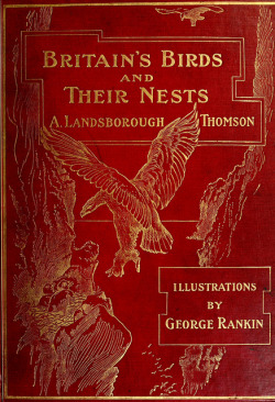 wapiti3:  Britain’s birds and their nests / described by A. Landsborough Thomson ; with introduction by J. Arthur Thomson, illustrated by George Rankin. on Flickr. Publication info London :W. &amp;amp; R. Chambers,1910. Contributing Library: American