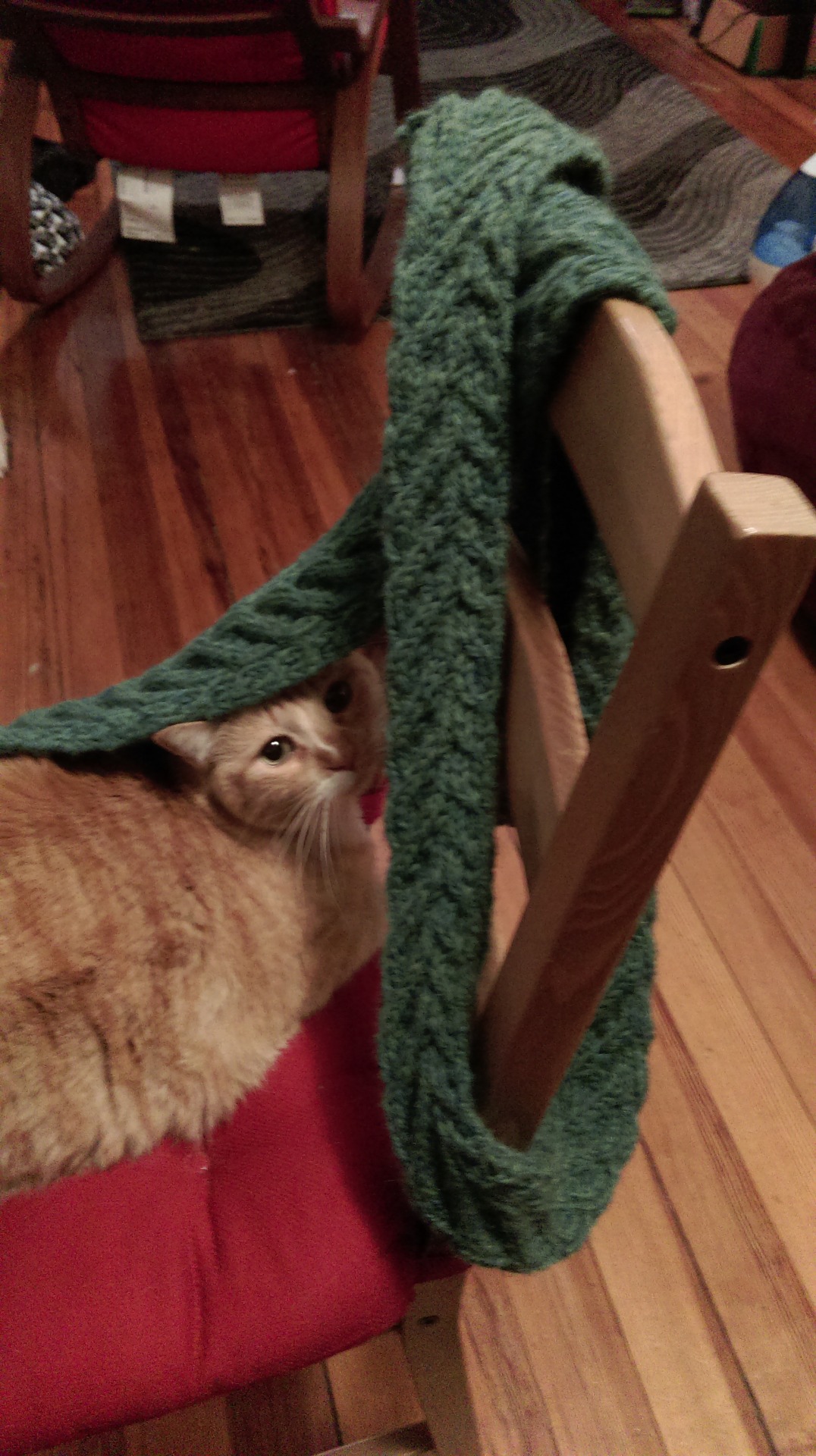 Staghorn Cable Scarf (pattern 1 of 2 based on a square in a sampler afghan book my grandma gave me when I was a tiny human)
Yarn: Cascade Eco+ in Satine (the lighting in my apartment is really weird)
Needles: Size 10 needles of any shape (I prefer...