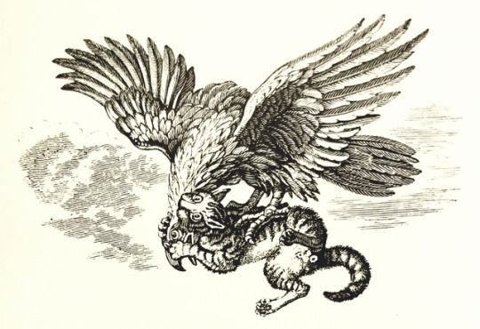 detroitlib: #Caturday! From our stacks: Illustrations from A Collection of One Hundred
