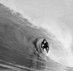 vanssurf:  Al Cleland Jr. so pitted in South San Diego. 