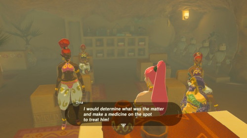 Sex zferolie:  Gerudo Classes on how to interact pictures