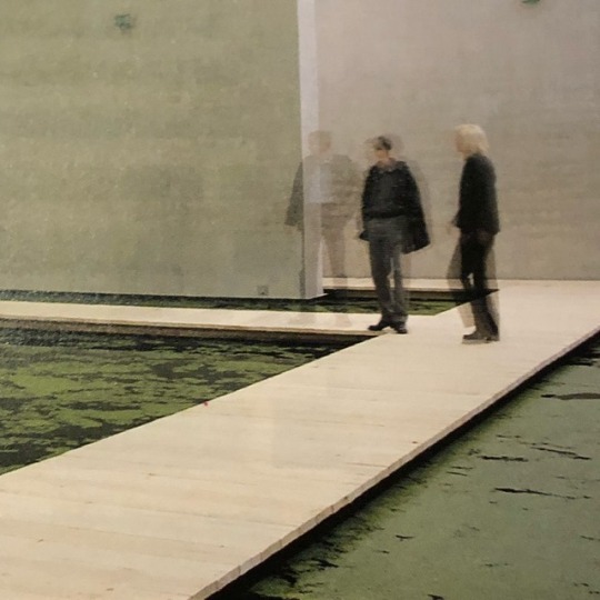 unjpg:  The mediated motion (Water) Water, foil, wood, duck weed, smog, compressed soil, mushrooms  Installation, Kunsthaus Bregenz, 2001 