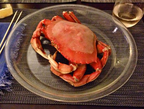 Yesterday&rsquo;s crabbing adventure, on a popular floating dock in Port Moody, consistently produce