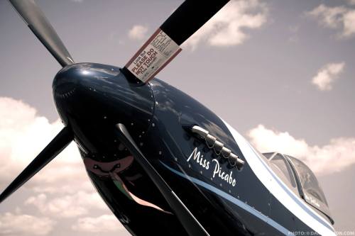 &ldquo;Miss Picabo&rdquo; Mustang P-51 air racer.© Daniel Simon