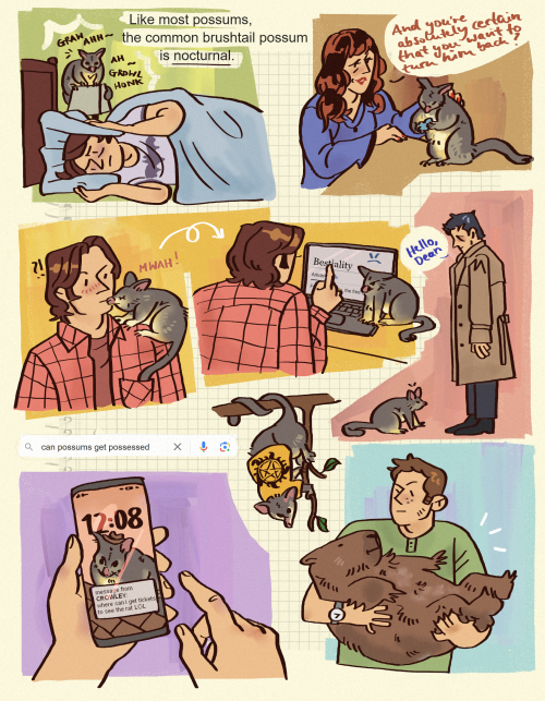 I Was Asked To Return To The Possum!dean Universe So Of Course I Did. Plus A Bonus Wombat!sam