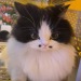 sleepy-bebby: