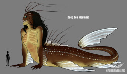 flukedoesecology:  kelbremdusk: I just cannot stress enough how much i fUCKING LOVE MERMAIDS  Really great examples of realistic mermaids!!-Mod Fluke 