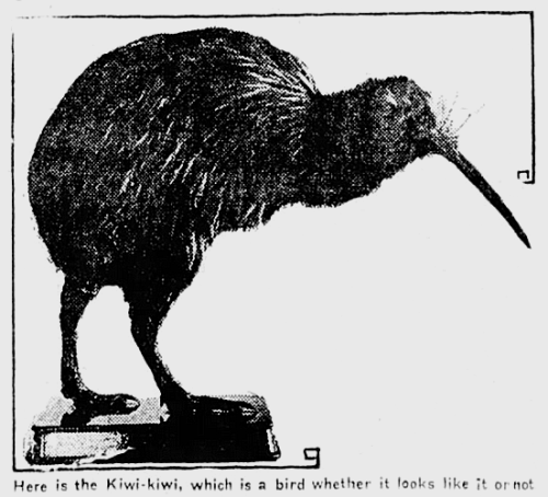 yesterdaysprint:The Winnipeg Tribune, Manitoba, December 29, 1917